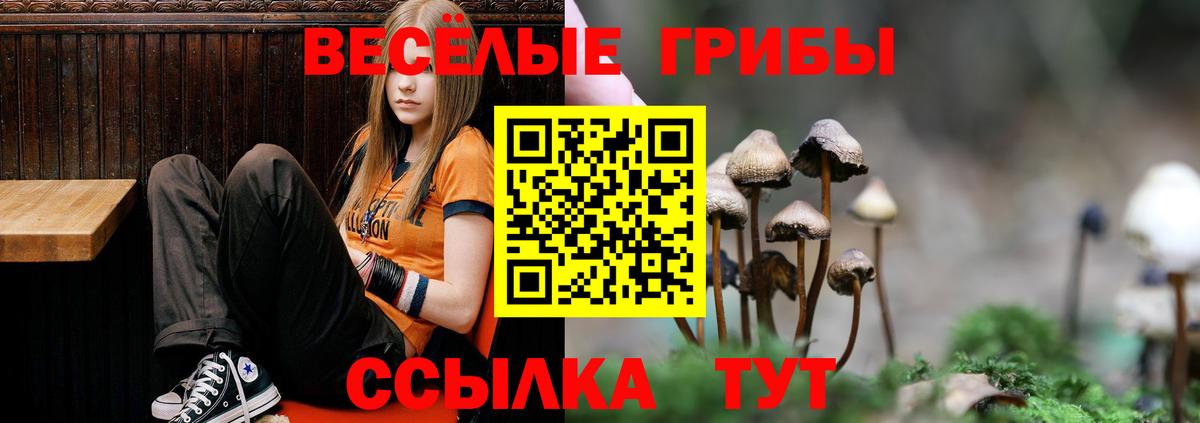 Псилоцибиновые грибы прущие грибы  Вход с VPN  где можно купить наркотик  Псилоцибиновые грибы ЛСД  Брянск 